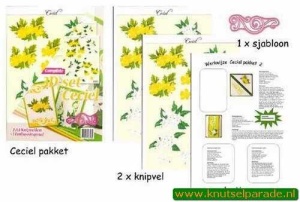 Ceciel pakket nr. 4 005 506 (Locatie: 5501)