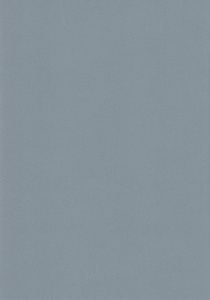 Grijs karton, 220 gr, A4 (Locatie: 4635)
