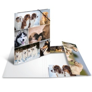 Herma elastomap A4 honden - karton 19211