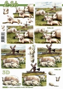 Le Suh knipvel schapen 8215651 (Locatie: 2919)
