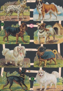 Poezieplaatjes honden vintage 7430 (Locatie: MP098)