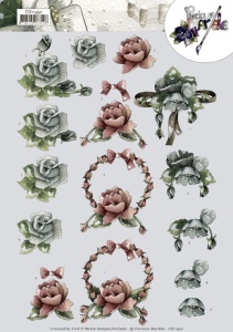 Precious Marieke knipvel rozen CD11450 (Locatie: 2660)