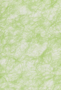 Spinnenweb papier appelgroen A4 118113 (Locatie: 1525)