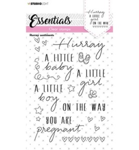 Studio Light Clear Stamp Hurray SL-ES-STAMP172 (Locatie: i380)