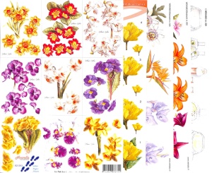 Voorjaars Knipvelpakket Bloemen nr. 12 (Locatie: 4841)