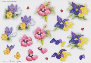 Wekabo knipvel bloemen 659 (Locatie: 1507)