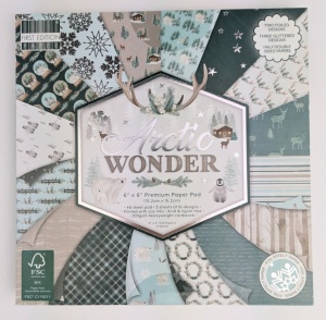 Arctic Wonder Paper Pad, 15,2x15,2 cm, 48 vel, 16 designs, FEPAD241X21 - Img 1