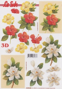 Le Suh knipvel bloemen 4169428 (Locatie: 1137)