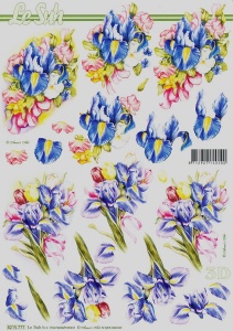 Le Suh knipvel bloemen 8215777 (Locatie: 6525)