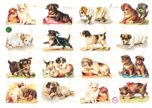 Poezieplaatjes honden vintage 7327 (Locatie: MP092)