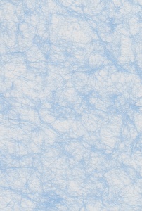 Spinnenweb papier lichtblauw A4 118108 (Locatie: 1559)
