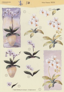 't Boekensteuntje knipvel witte planten 0030 (Locatie: 2409)