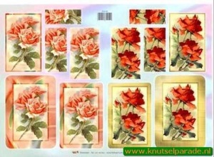 TBZ piramide knipvel bloemen 202135 (Locatie: 4422)
