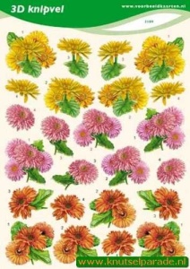 Voorbeeldkaarten knipvel bloemen 2189 (Locatie: 4820)