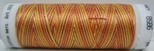 Amann Mettler Silk finish multi 100 meter 9858
