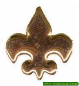 Brad fleur/lis koper 25 stuks 20811/040 (Locatie: K2)