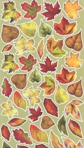 Craft O'Clock Paperpack Autumn Beauty 12 vellen, 6 designs, 15x30cm CC-C58-AB-11 (Locatie: 0910) - Img 3