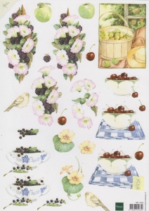 Matti knipvel fruit en bloemen MB0099 (Locatie: 0504)