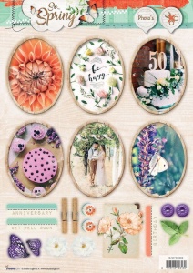 So Spring Foto Stansvel Lente EASYSS602 (Locatie: 0934)