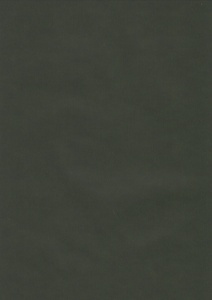 Vellum zwart met groene gloed per vel (Locatie: 5830)