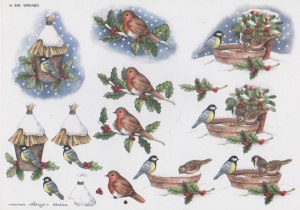 Wekabo knipvel winter en vogels 456 (Locatie: 2520)