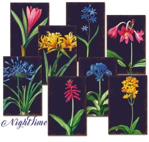 Decorer Mini Paper Pack NightTime, 7x10.8cm, 24 vel DECOR-M100 - Img 1