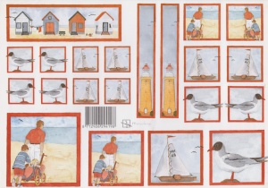 Marjoleine knipvel strand (Locatie: 2684)