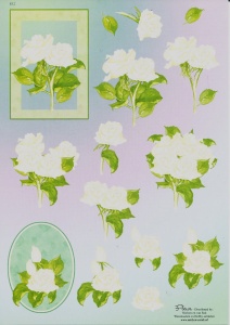 Nielsen cards knipvel bloemen E12 (Locatie: 1438)