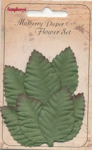 Scrapberry's Mulberry Paper FLower Set SCB300604