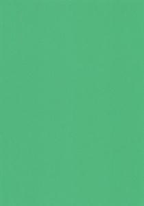 Top hobby cardstock green, A4 (Locatie: 0354)