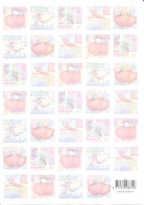 Vellum fruit 8854T (Locatie: 2702)