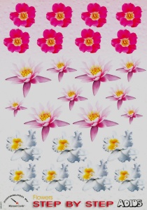 Adios knipvel bloemen SBSu0011 (Locatie: 4407)
