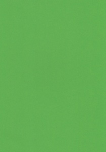 Hoca cardstock green, A4, 700320 (Locatie: s1)
