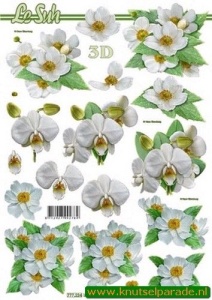Le Suh knipvel bloemen 777224 (Locatie: 0334)