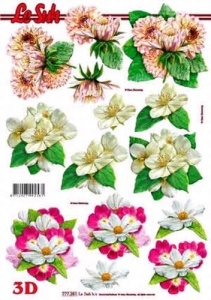 Le Suh knipvel bloemen 777251 (Locatie: 4235)