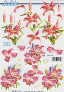 Le Suh knipvel bloemen 8215439 (Locatie: 0941)
