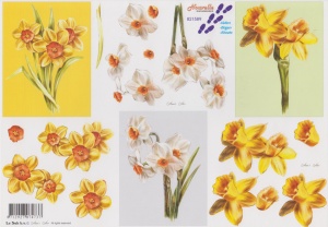 Le Suh knipvel bloemen 821589 (Locatie: 1528)