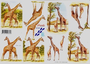 Le Suh knipvel giraffe 821580 (Locatie: 605)