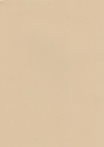 Le Suh papier donker chamois, A4, 690118 (Locatie: 2571)
