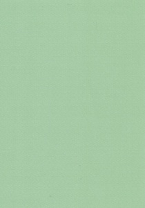 Metallic papier lichtgroen, A4 (Locatie: 4641)
