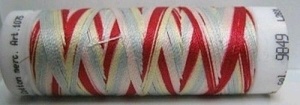 Amann Mettler Silk finish multi 100 meter 9849