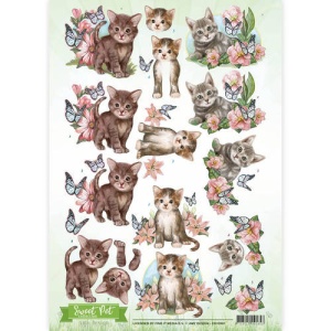Amy Design knipvel poezen CD10961 (Locatie: 0440)
