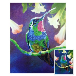 Craft Artist Diamond Painting pakket, kolibrie