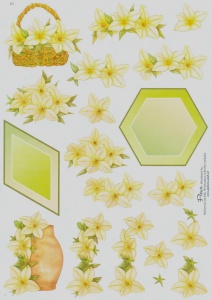 Fleur knipvel bloemen E4 (Locatie: 5848)