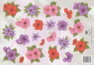 Knipvel bloemen 2319 (Locatie: 2759)