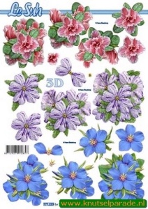 Le Suh knipvel bloemen 777223 (Locatie: 1567)
