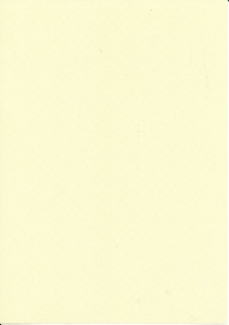 Papicolor fantasie papier groen 212724 (Locatie: 6538) - Img 2