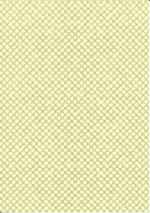 Papicolor fantasie papier groen 212724 (Locatie: 6538)