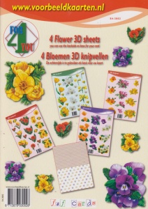 Voorbeeldkaarten boek 4 for you S4-3002 (Locatie: 6650)