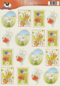 Voorbeeldkaarten merel design dieren 2380 (Locatie: 2434)